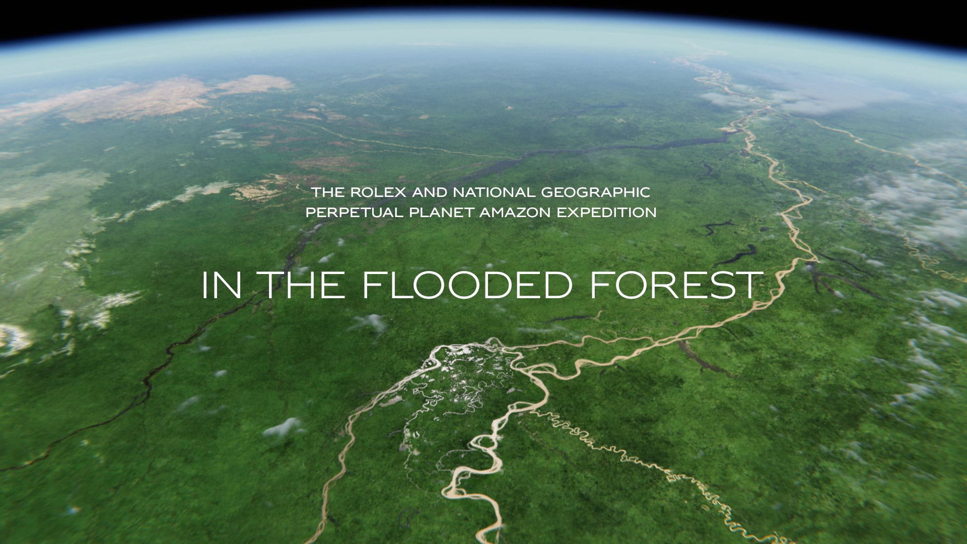 In the Flooded Forest
