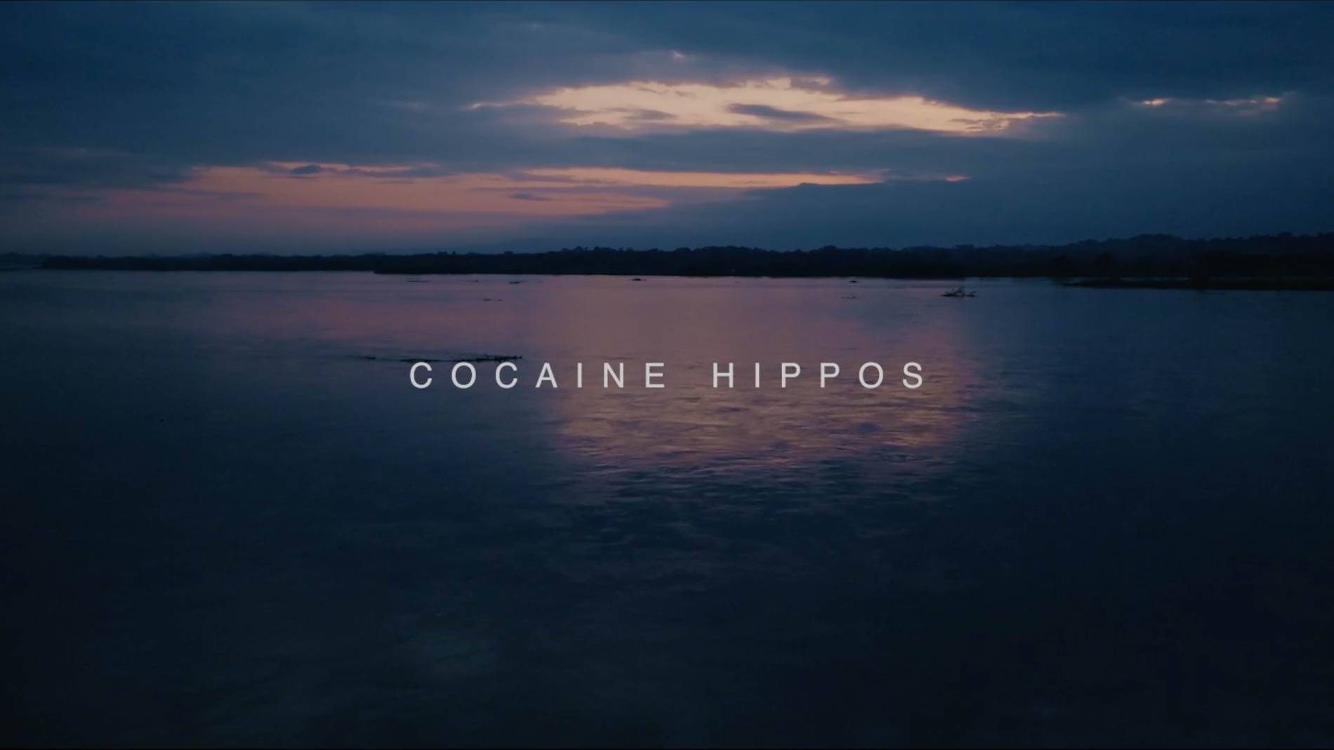 Cocaine Hippos