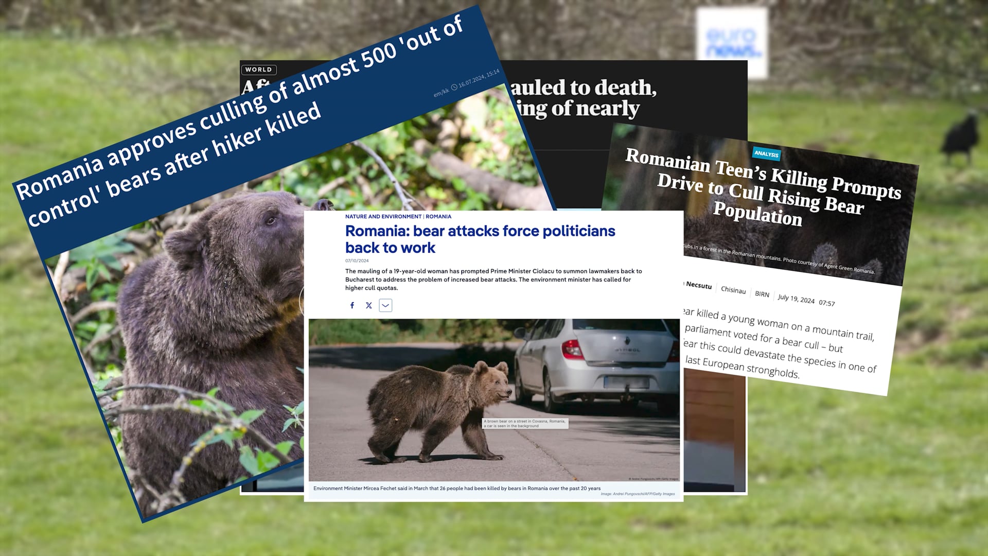 Living With Bears