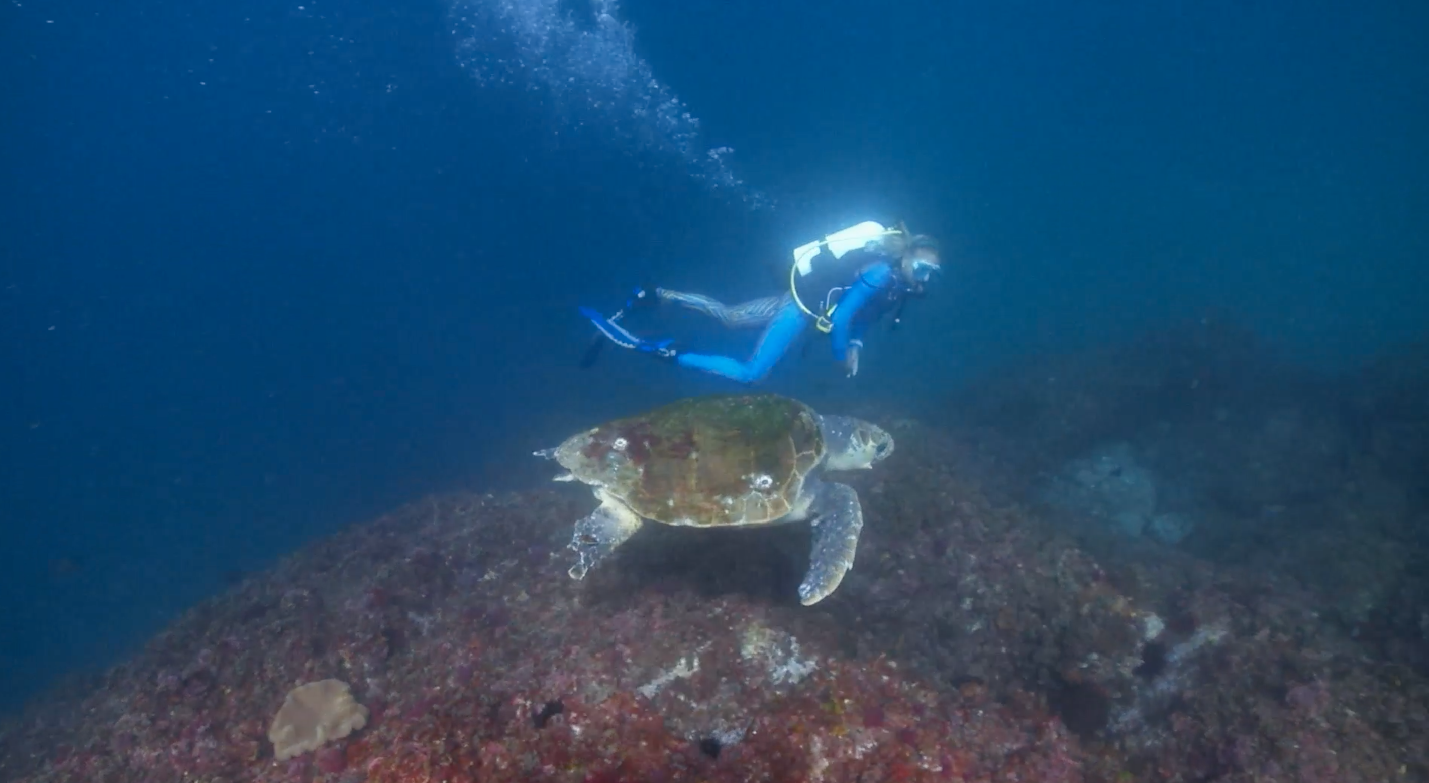 EP. 12_ Byron Bay Part 2