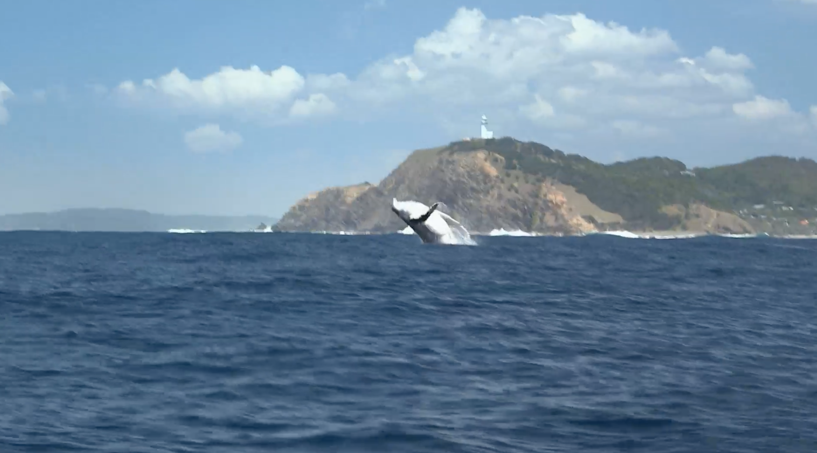 EP. 11_ Byron Bay Part 1