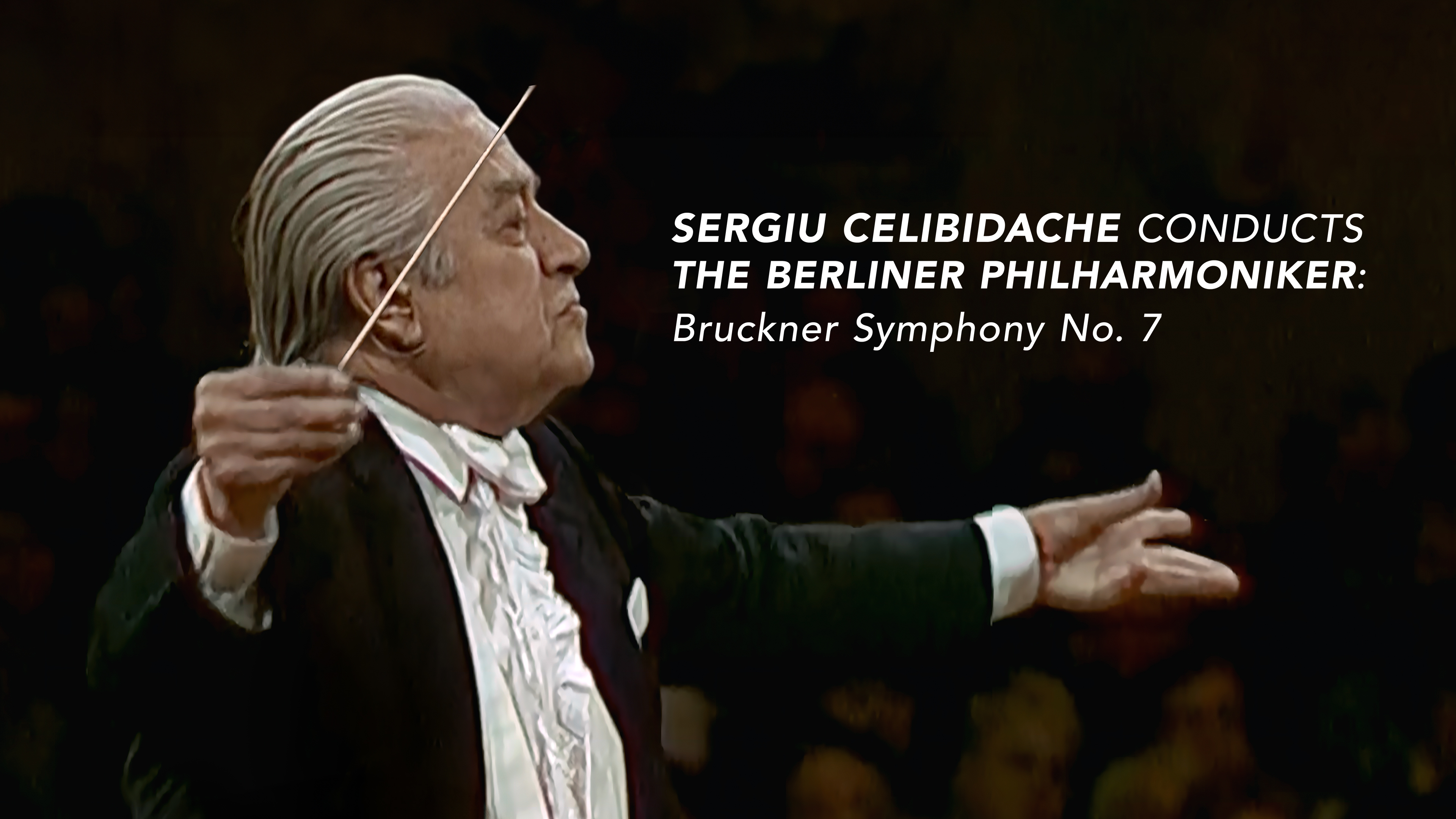 Bruckner Symphony No. 7