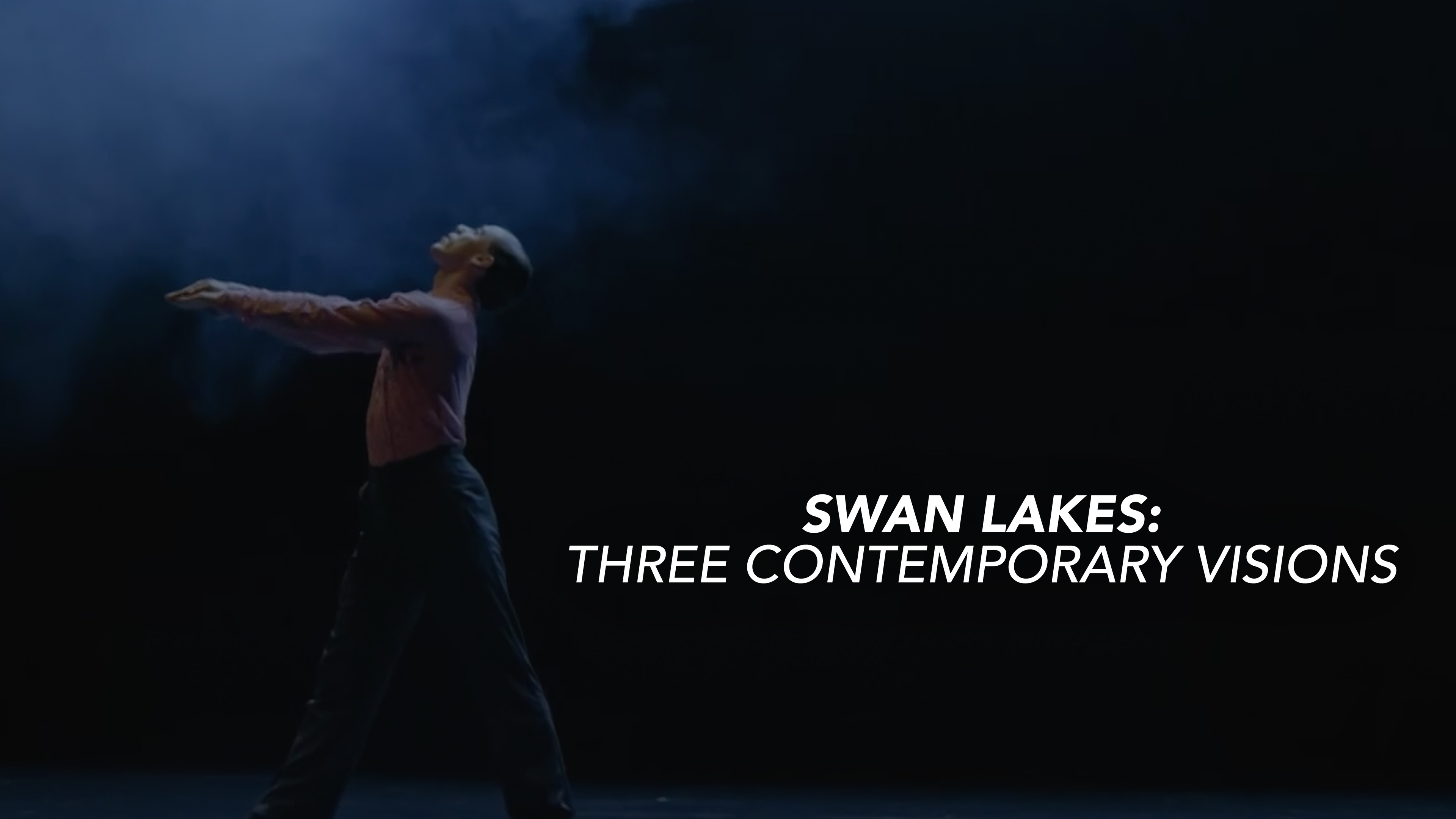 Swan Lakes: Three Contemporary Visions