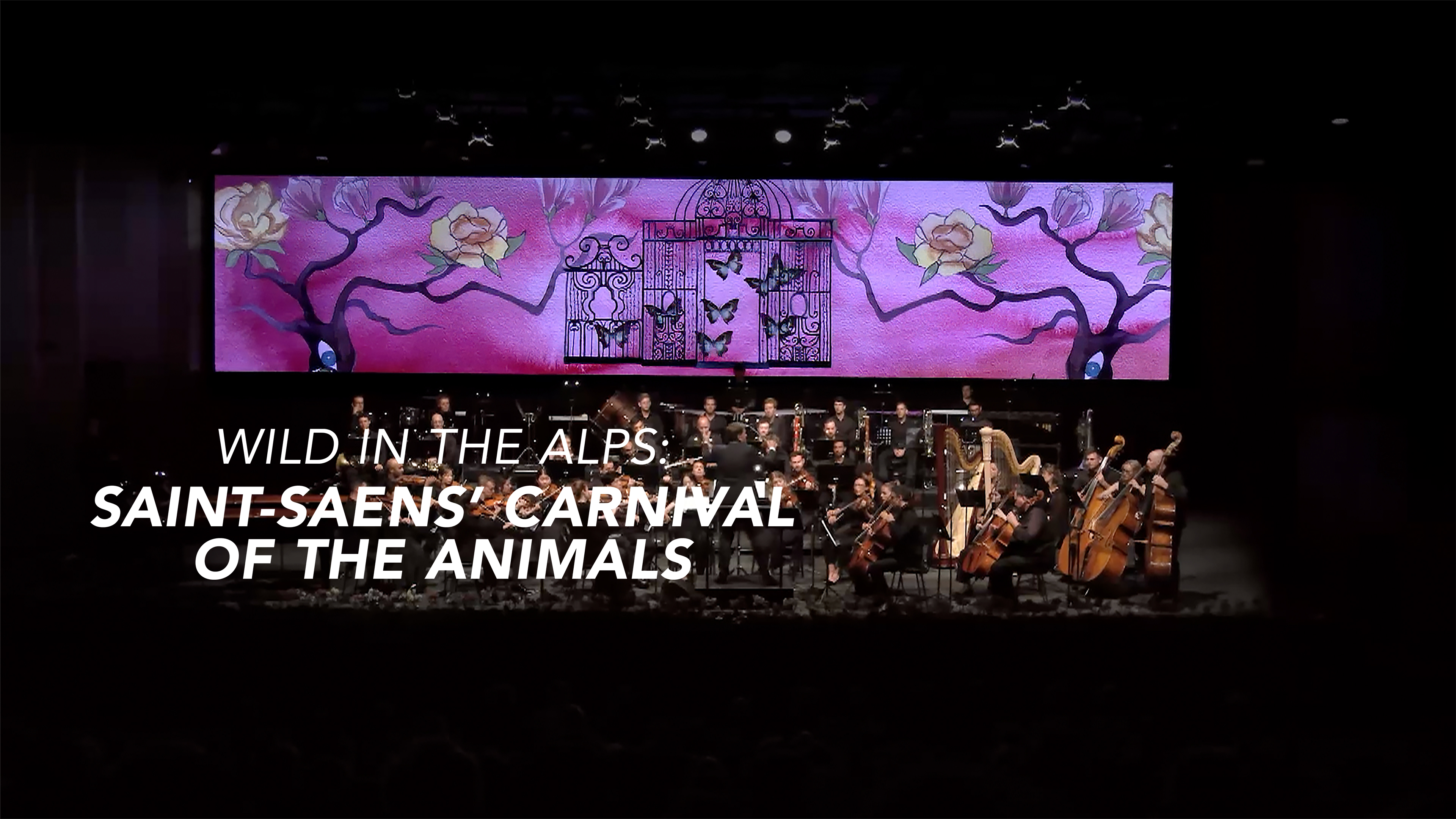 Wild in the Alps: Saint-Saens’ Carnival of the Animals