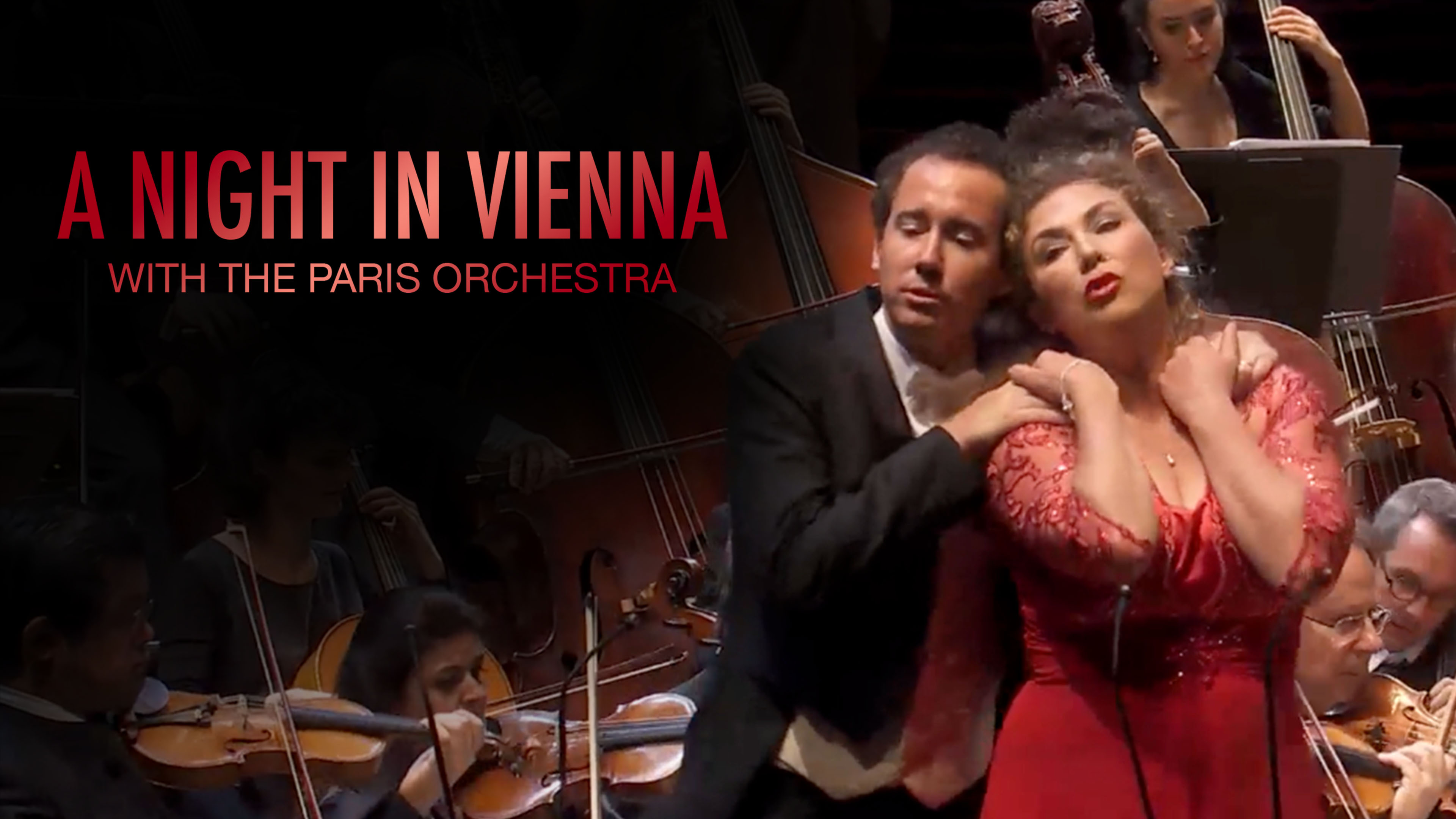 A Night in Vienna with The Paris Orchestra