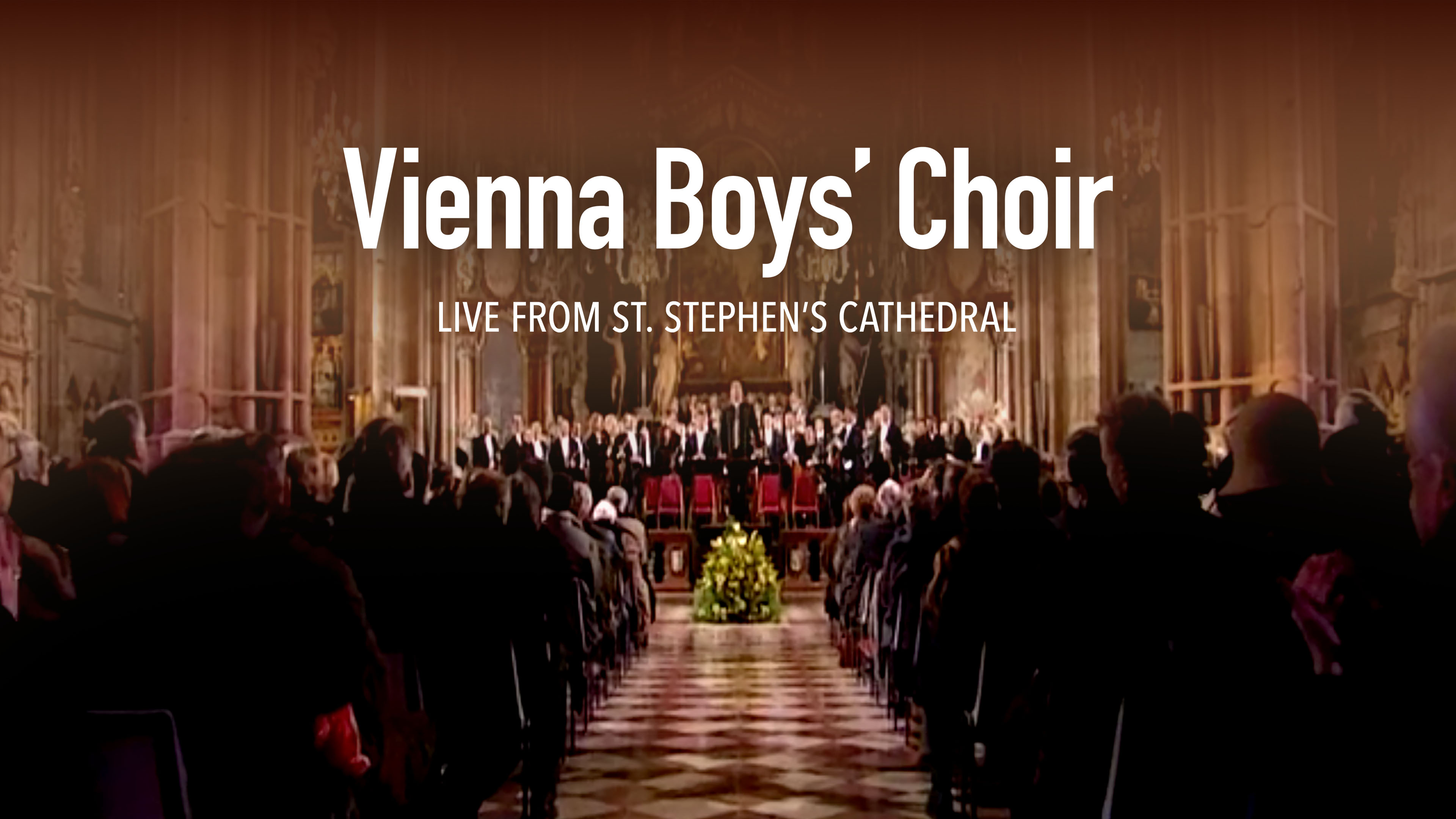 Vienna Boys Choir - Live from St Stephen’s Cathedral