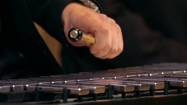 The Shostakovich Symphonies - Trailer