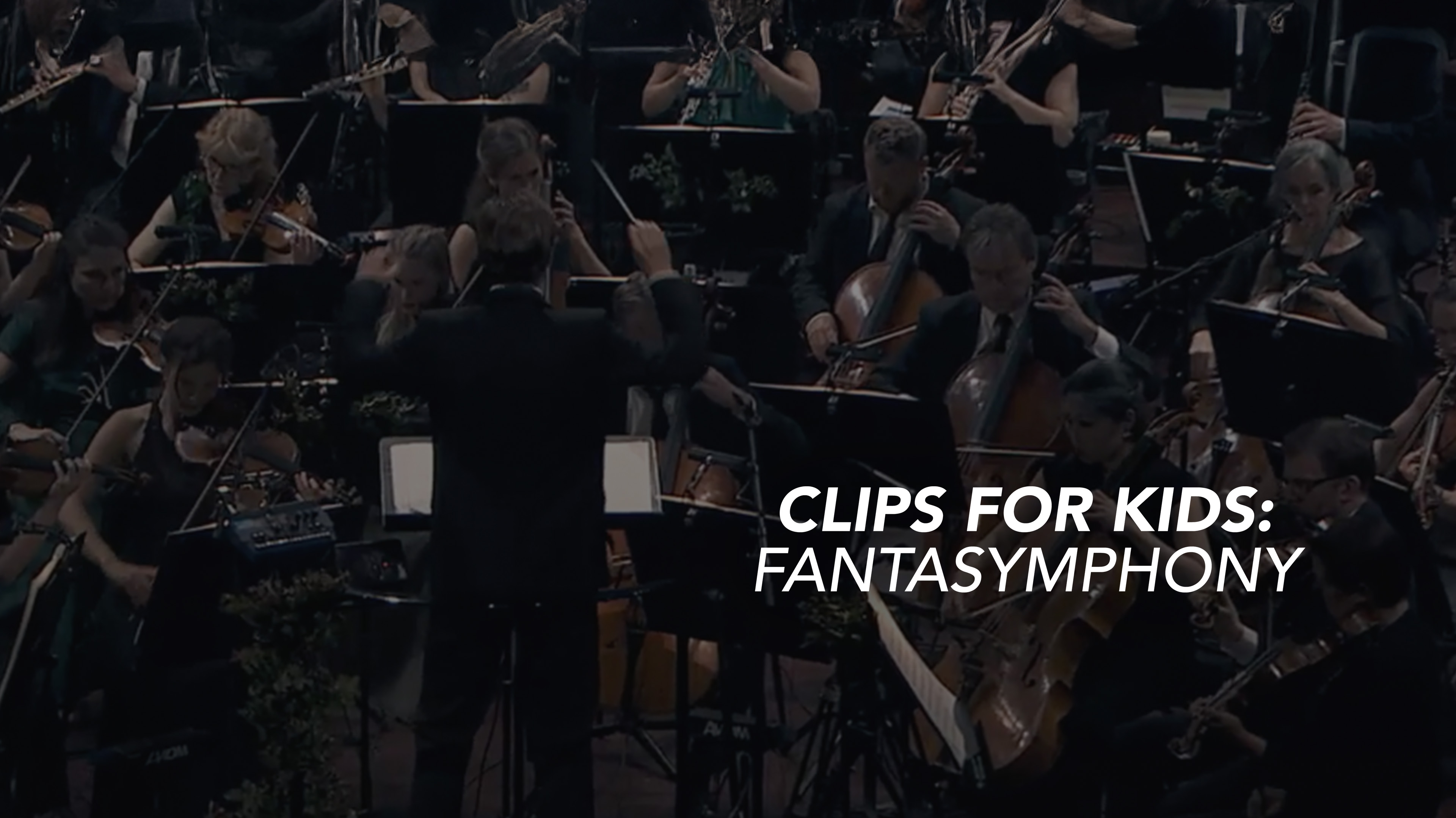 Clips for Kids: Hedwig's Theme