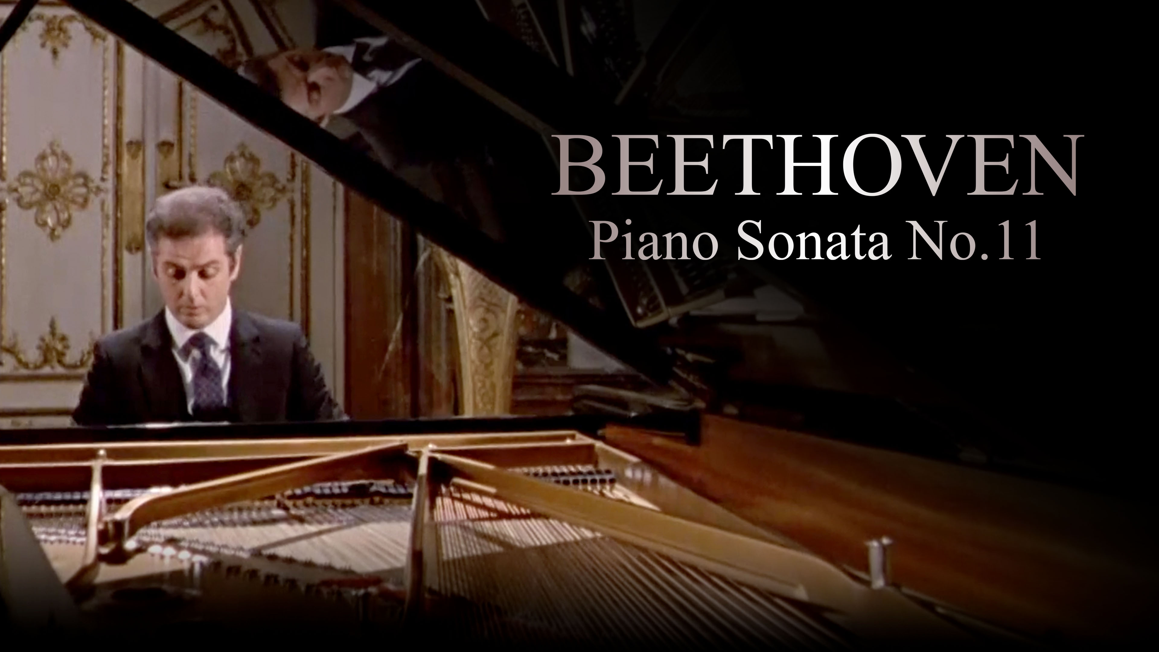 Beethoven Piano Sonata No. 11