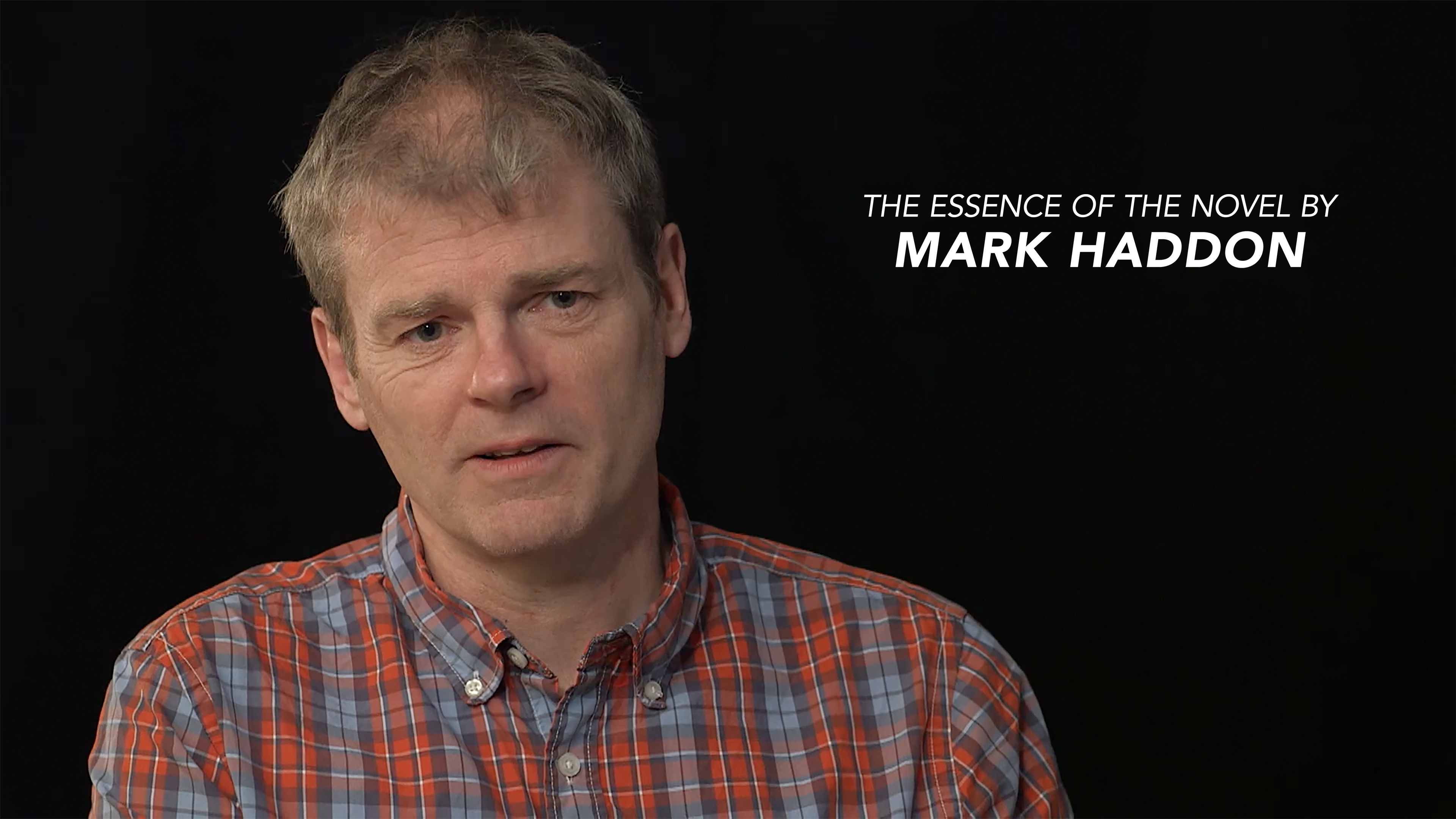 The Essence of the Novel by Mark Haddon
