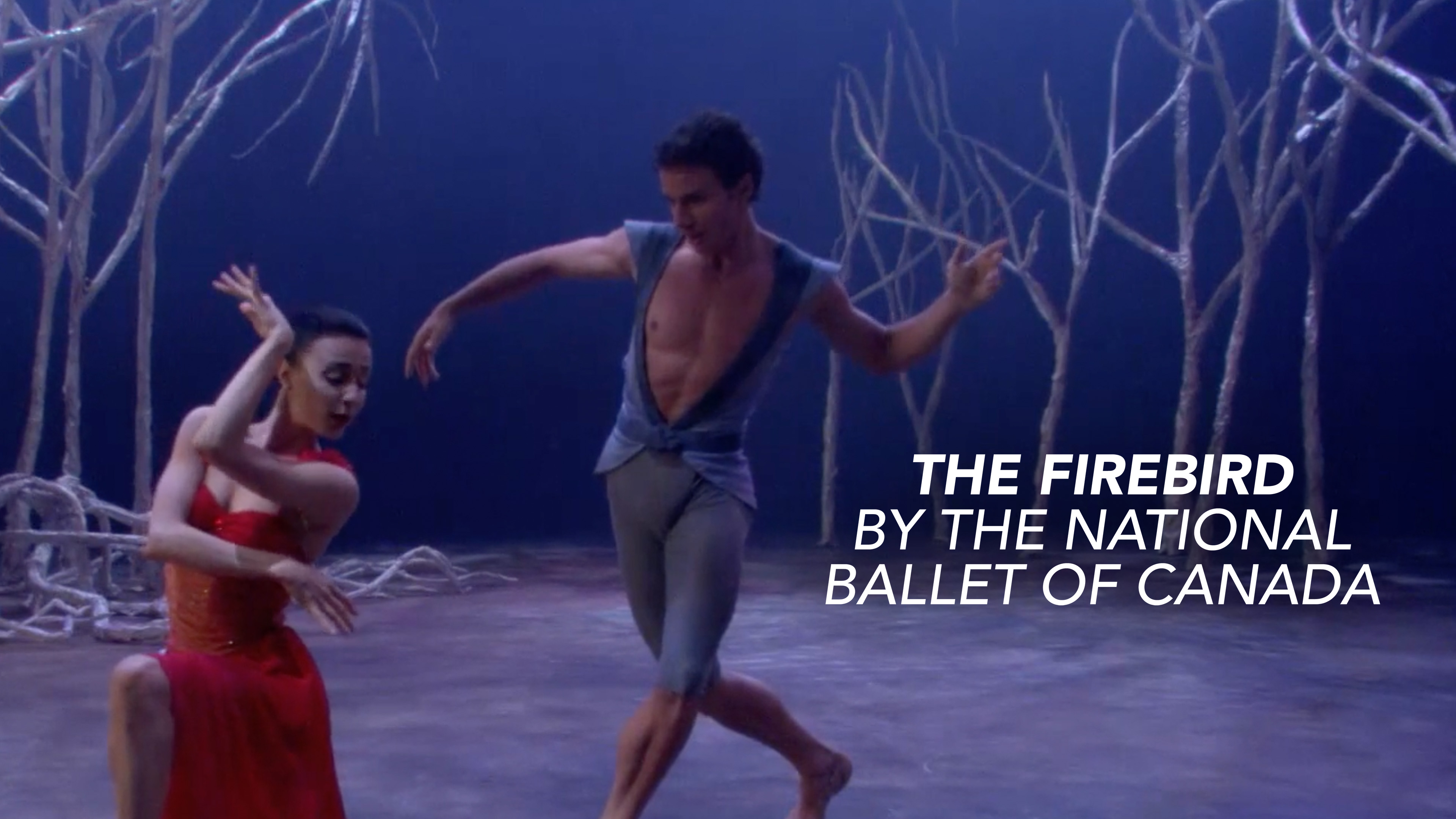 The Firebird by The National Ballet of Canada