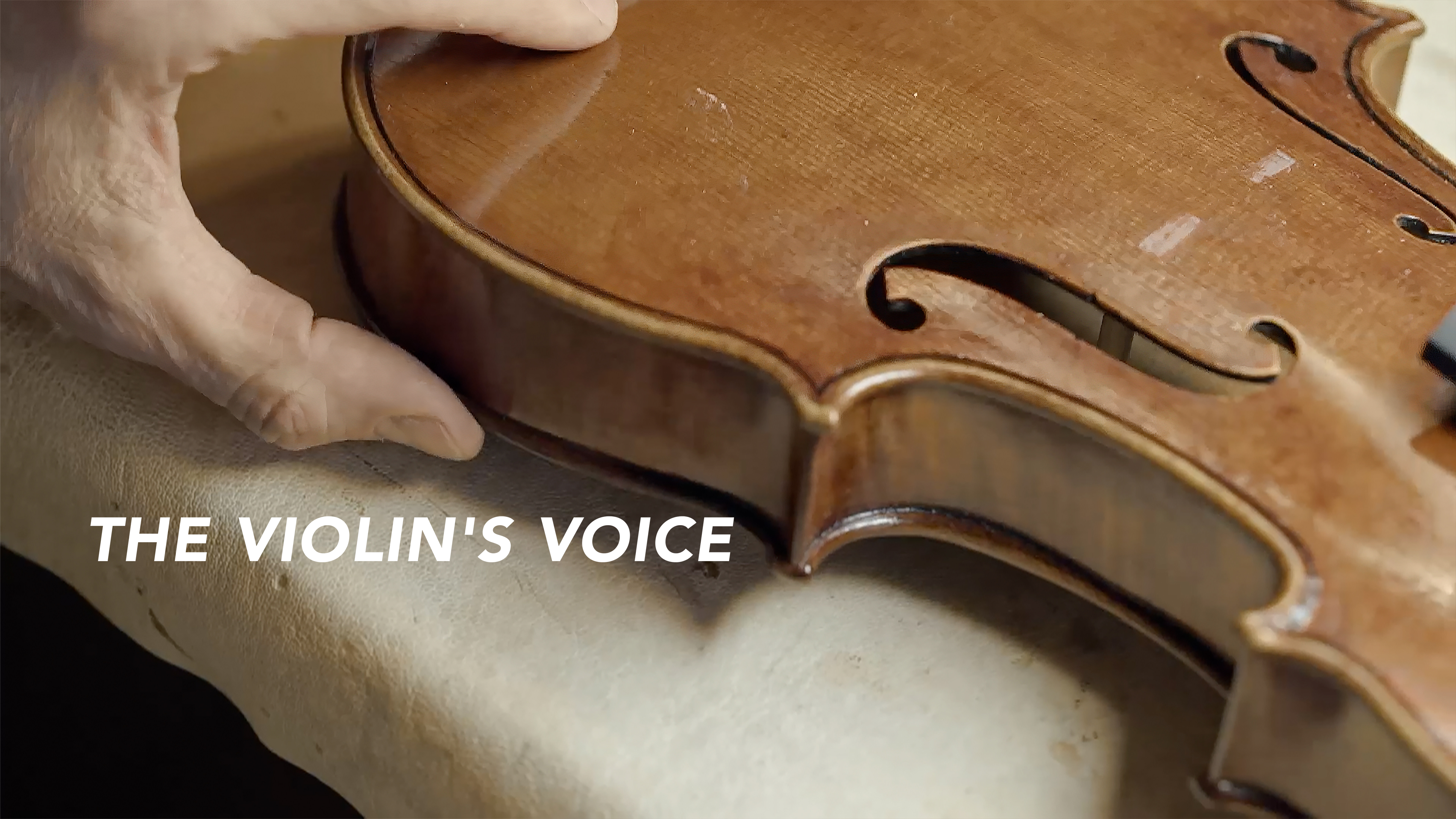 The Violin's Voice