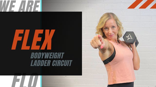 FLEX - Kara - Ladder Circuit