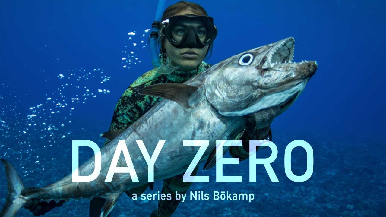 Day Zero (series)