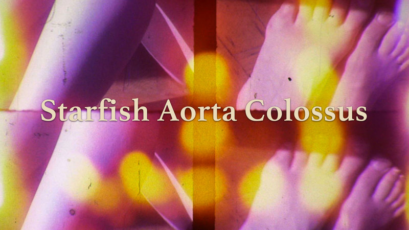 Starfish Aorta Colossus (Lynne Sachs)