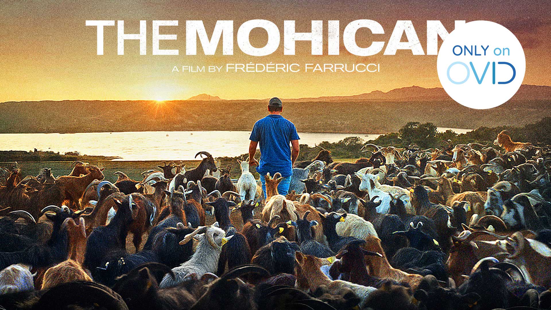 The Mohican