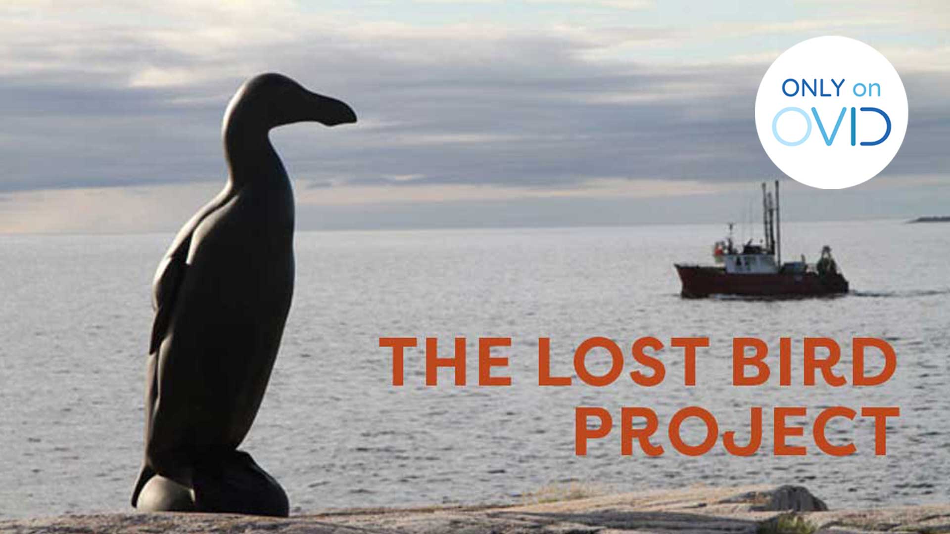 The Lost Bird Project