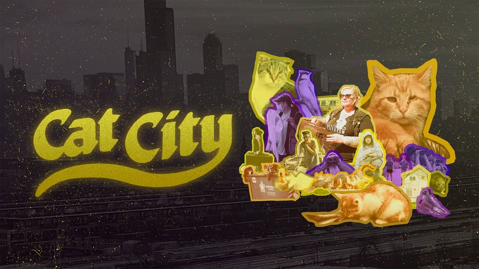 Cat City Trailer