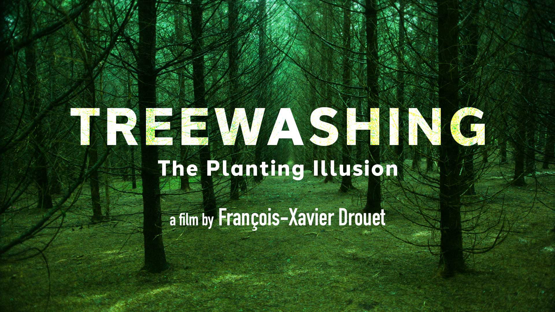 Treewashing: The Planting Illusion