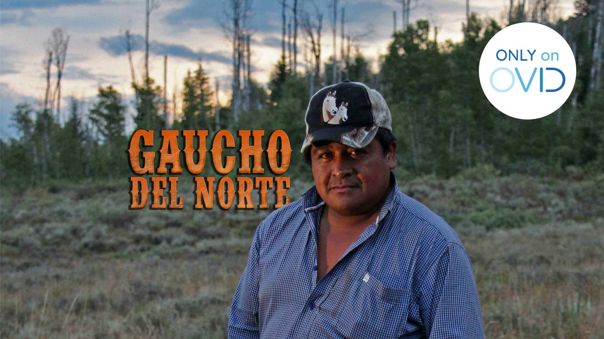 Gaucho del Norte