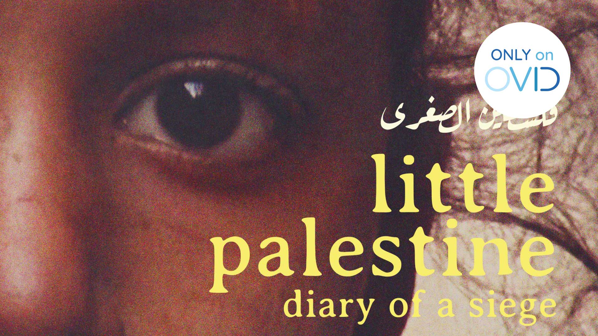 Little Palestine, Diary of a Siege