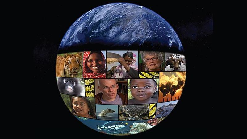 The Wisdom to Survive