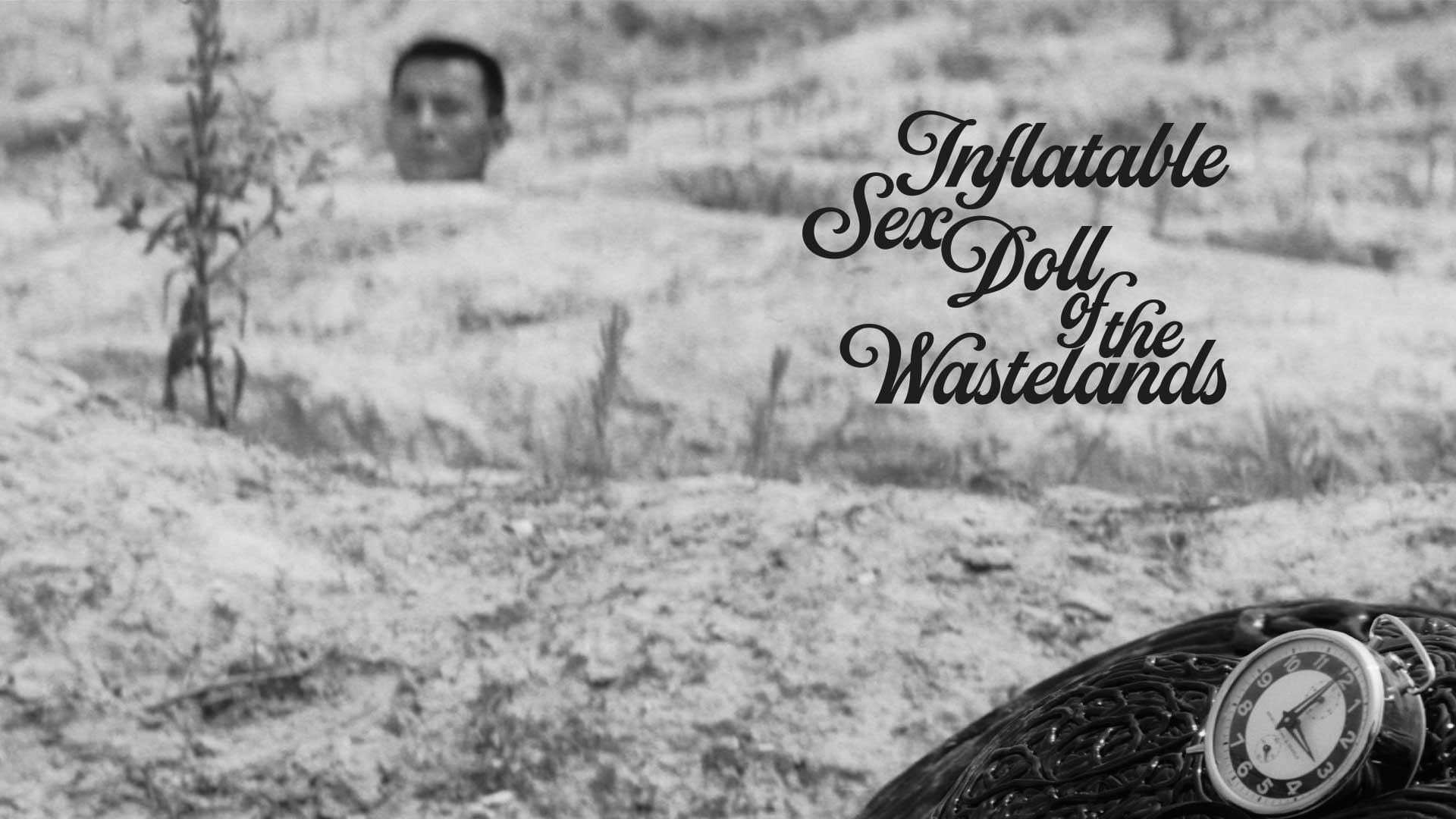 Inflatable Sex Doll Of The Wastelands