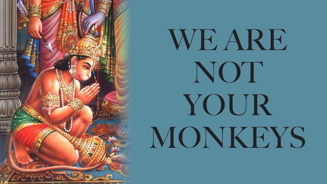 We are Not Your Monkeys