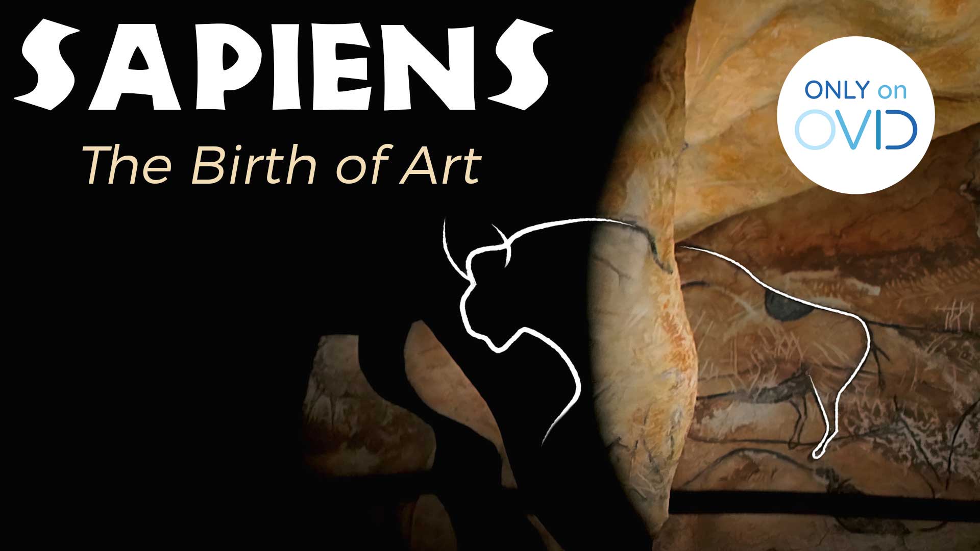 Sapiens, the Birth of Art