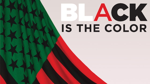 Black Is the Color: A History of African American Art