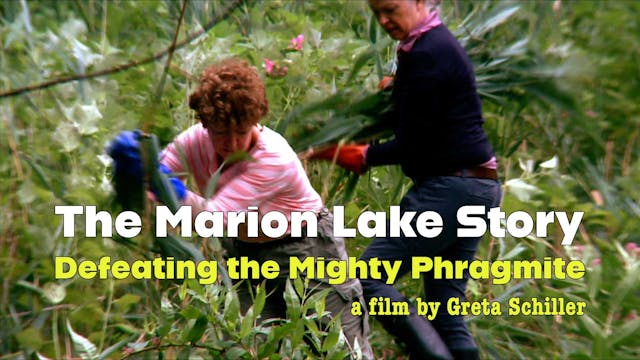 The Marion Lake Story: Defeating the ...