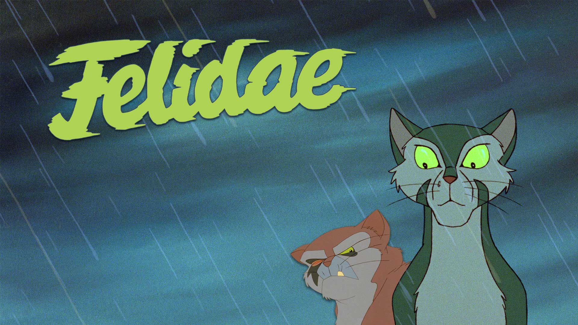 Felidae
