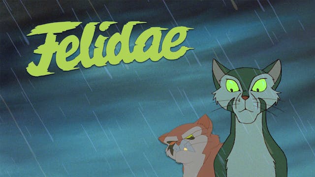 Felidae