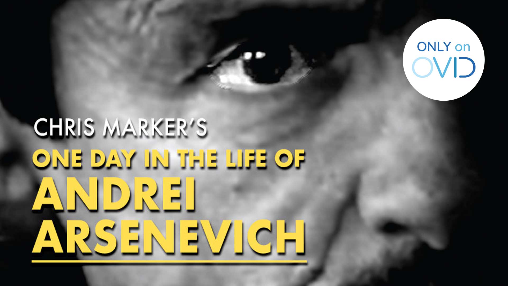 One Day in the Life of Andrei Arsenevich