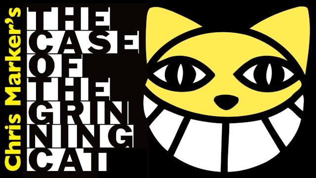 The Case of the Grinning Cat