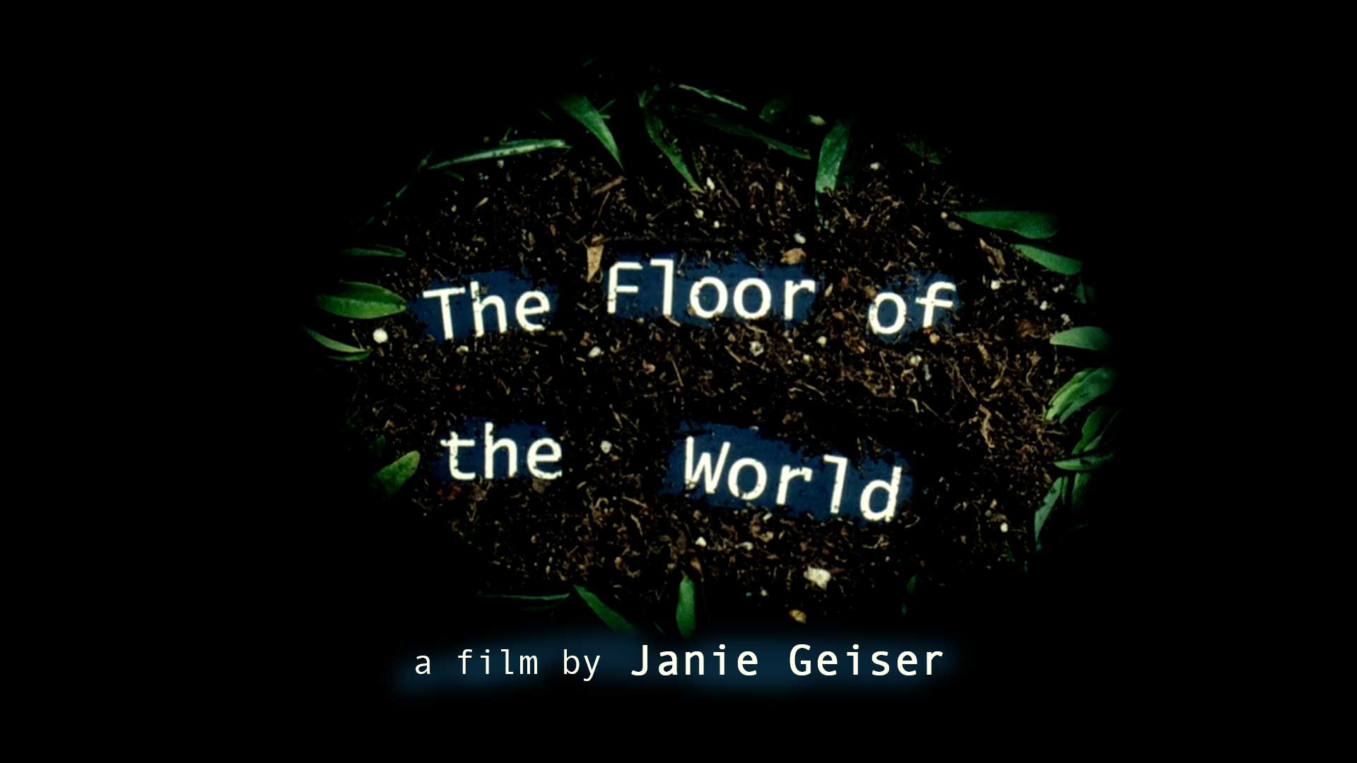 The Floor of the World