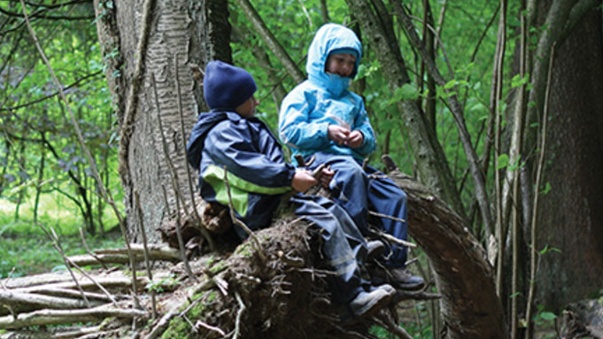 Environmental Justice (collection)