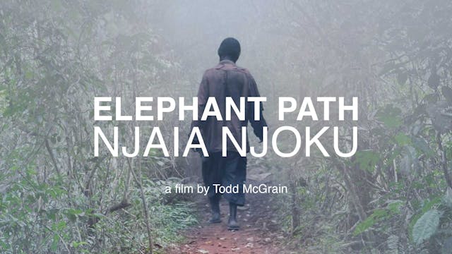 Elephant Path / Njaia Njoku