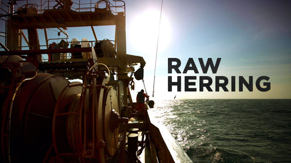Raw Herring
