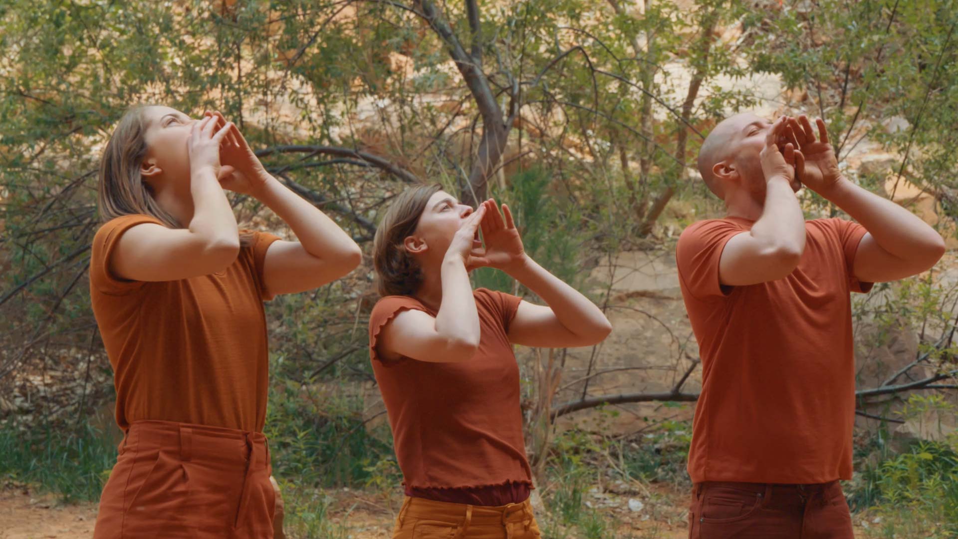 Best of Fest 1 - Sedimented Here