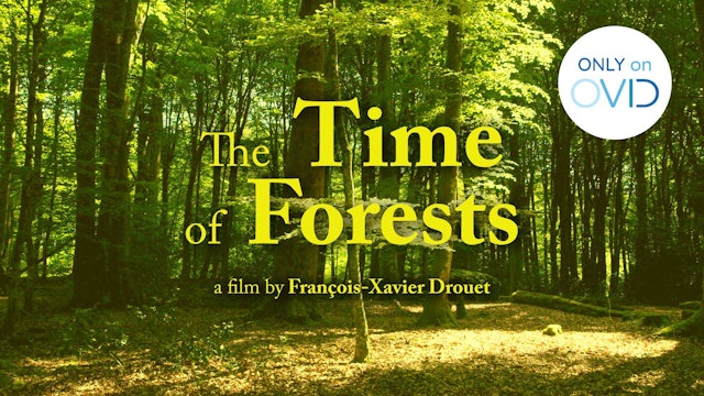The Time of Forests