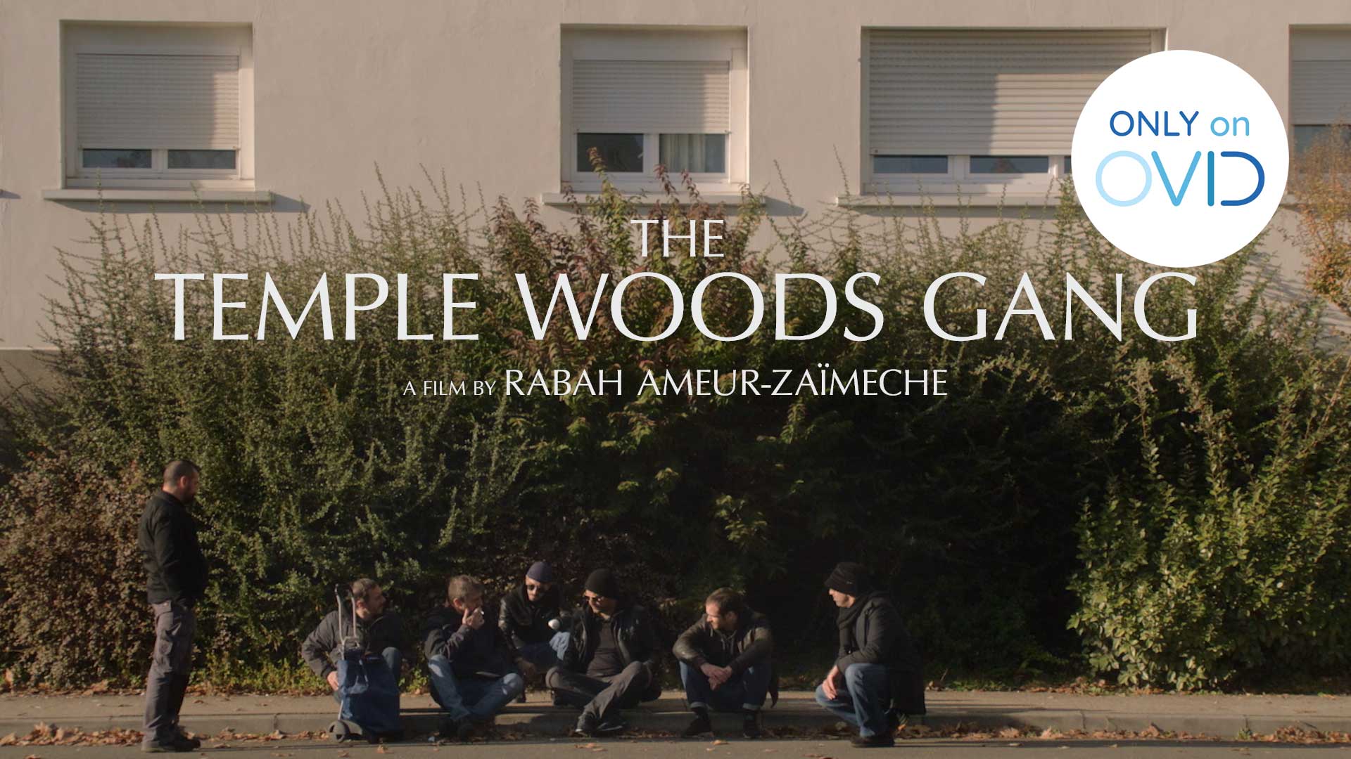 The Temple Woods Gang