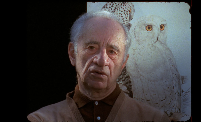 The Owl's Legacy: Amnesty, or History on the March