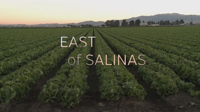 East of Salinas