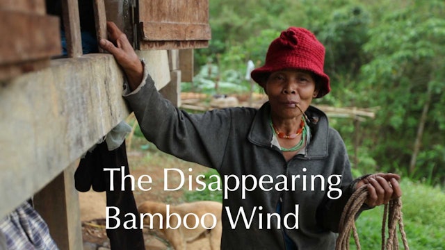 Far Off Sounds Ep 19 - The Disappearing Bamboo Wind