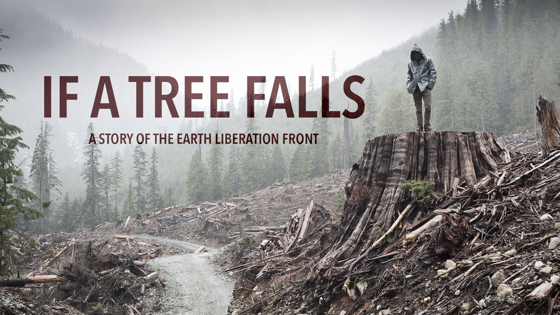 If A Tree Falls