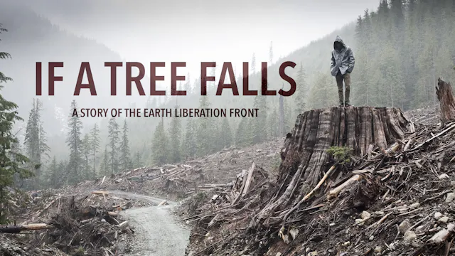 If A Tree Falls