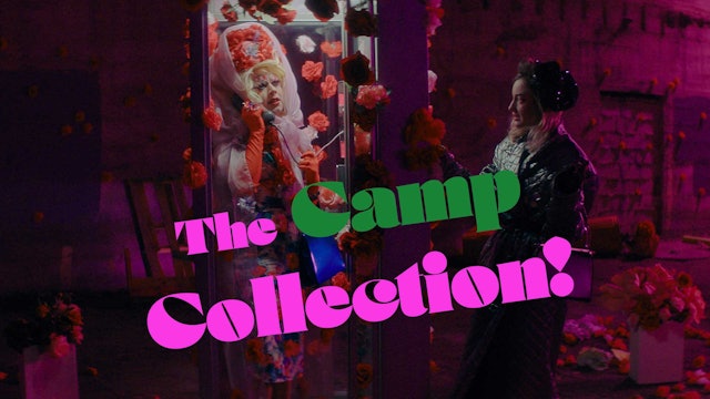 The Camp Collection