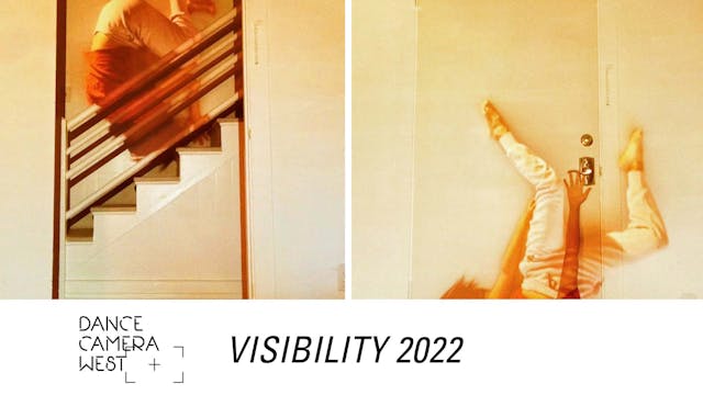 Visibility 2022
