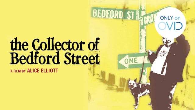The Collector of Bedford Street